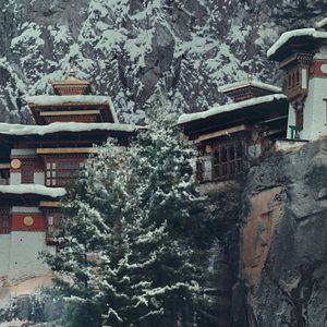 Foto El niño y el tigre