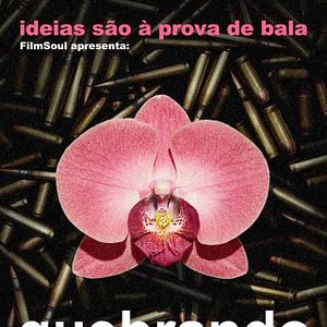 Foto Quebrando Mitos