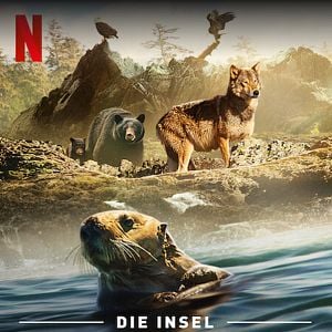 Foto La Isla de los lobos costeros