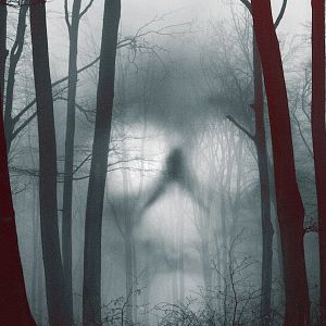 Foto 28 días paranormales