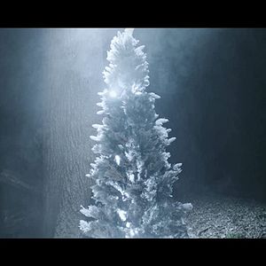 Foto Demonic Christmas Tree