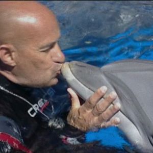 Foto ¿Qué le paso al rey de los delfines?