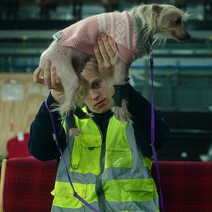 Foto Tormenta de Navidad