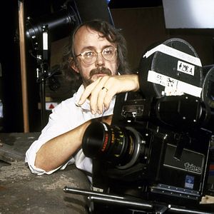 Foto Pollitos en fuga