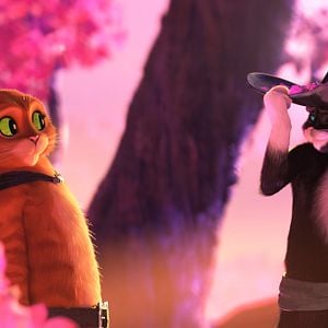 Foto El gato con botas 2: El último deseo