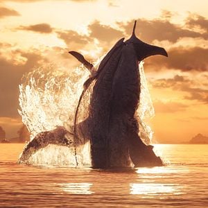 Foto Avatar: El camino del agua