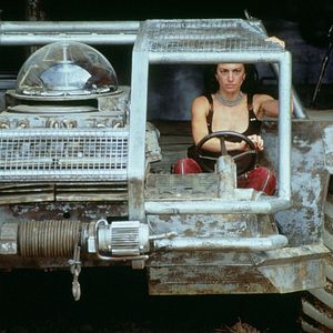 Foto Criaturas de la noche