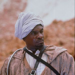 Foto Criaturas de la noche