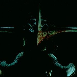 Foto Criaturas de la noche