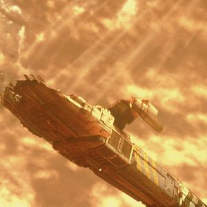 Foto Criaturas de la noche