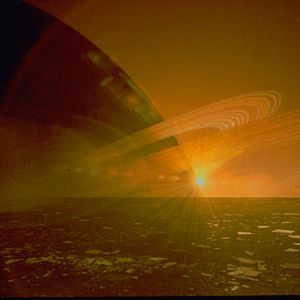 Foto Criaturas de la noche