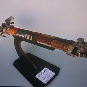 Foto Criaturas de la noche