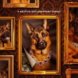 Foto Gunther, el perro millonario