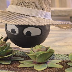 Foto La isla de las formas