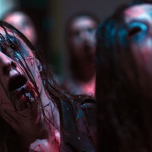 Foto Manicomio del terror