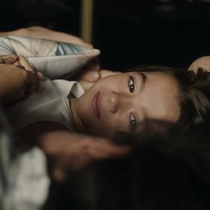 Foto 20.000 especies de abejas