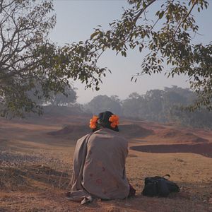 Foto To Kill a Tiger