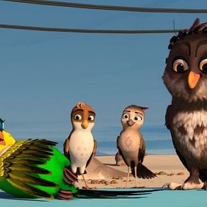 Foto Una Cigüeña En Apuros: La Joya Perdida