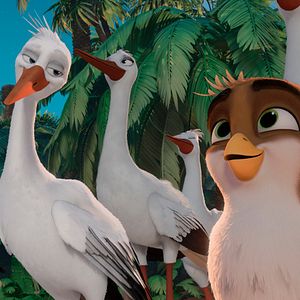 Foto Una Cigüeña En Apuros: La Joya Perdida