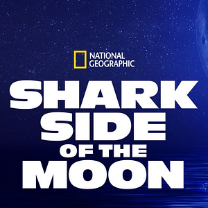 Foto Shark Side of the Moon