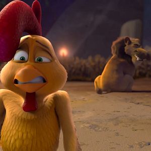 Foto Un rescate de huevitos