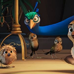 Foto Una Cigüeña En Apuros: La Joya Perdida