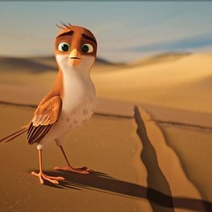 Foto Una Cigüeña En Apuros: La Joya Perdida