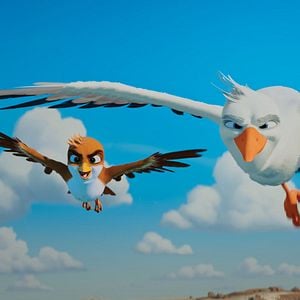 Foto Una Cigüeña En Apuros: La Joya Perdida