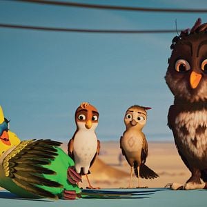 Foto Una Cigüeña En Apuros: La Joya Perdida