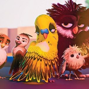 Foto Una Cigüeña En Apuros: La Joya Perdida