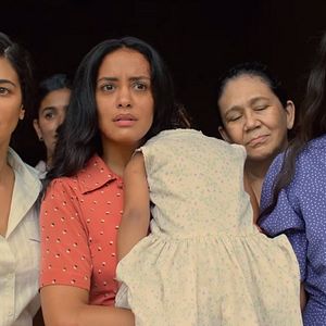 Foto El grito de las mariposas