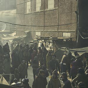 Foto Caballero negro