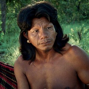 Foto The Buriti Flower