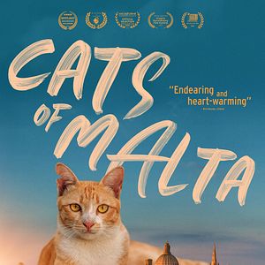 Foto Cats Of Malta