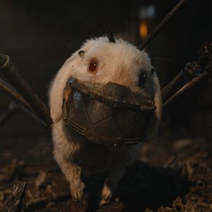 Foto Guardianes de la galaxia Vol. 3