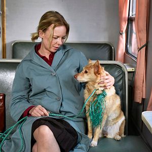 Foto Hojas de otoño