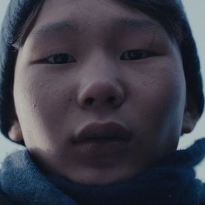 Foto If Only I Could Hibernate