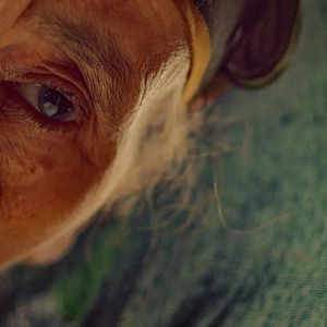 Foto The Mother of All Lies