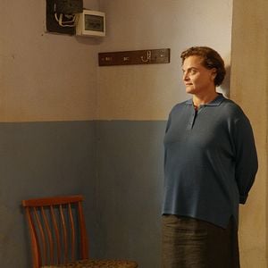 Foto Blackbird Blackbird Blackberry