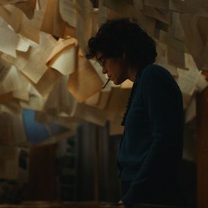 Foto Marion Cotillard