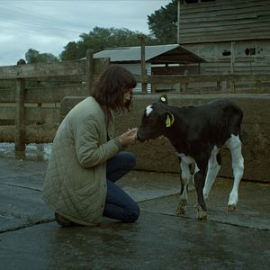 Foto La vaca que cantó una canción sobre el futuro