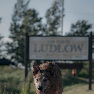 Foto Pet Sematary: Bloodlines