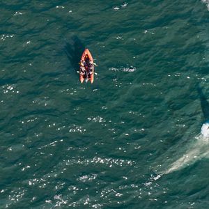 Foto Megalodón 2: El gran abismo