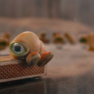 Foto Marcel The Shell With Shoes On