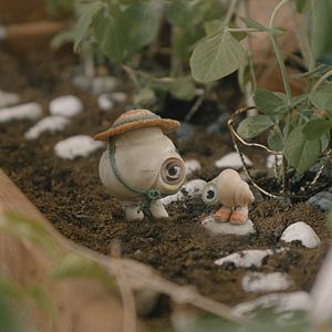 Foto Marcel The Shell With Shoes On