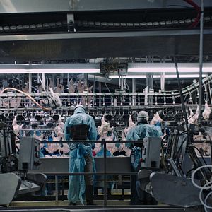 Foto Intoxicación: La cruda verdad sobre nuestra comida