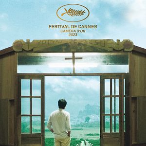 Foto Inside the Yellow Cocoon Shell