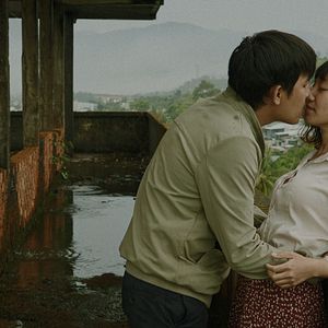 Foto Inside the Yellow Cocoon Shell