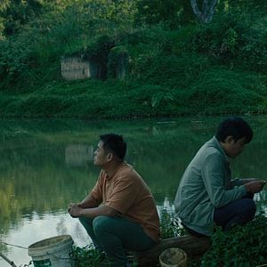 Foto Inside the Yellow Cocoon Shell