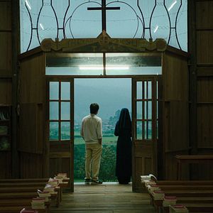 Foto Inside the Yellow Cocoon Shell